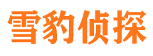 炎陵市私家侦探